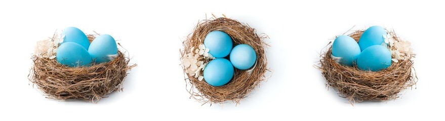 A set of nests with blue Easter eggs in different angles isolated on a white background. The concept of Easter.