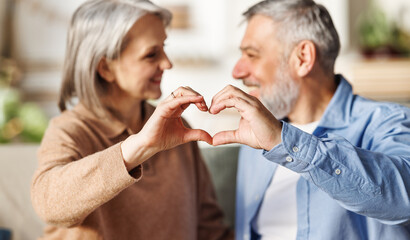 happy couple of elderly lovers shows a heart symbol with their hands, hugging on Valentine's day