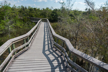 Fototapeta na wymiar Everglades national park