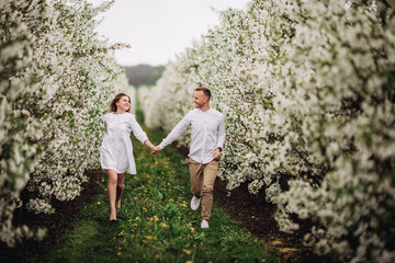 Fototapeta premium Happy family couple in spring blooming apple orchard. Young couple in love enjoy each other while walking in the garden. The man holds the woman's hand. Family relationships
