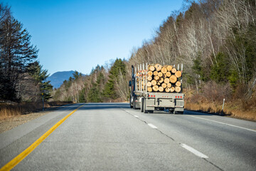 Dirty blue big rig semi truck tractor transporting trees logs on the semi trailer running on the...