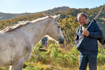 Mature bearded man meeting white horse while hiking in rural pasture. Friendship and relationship...