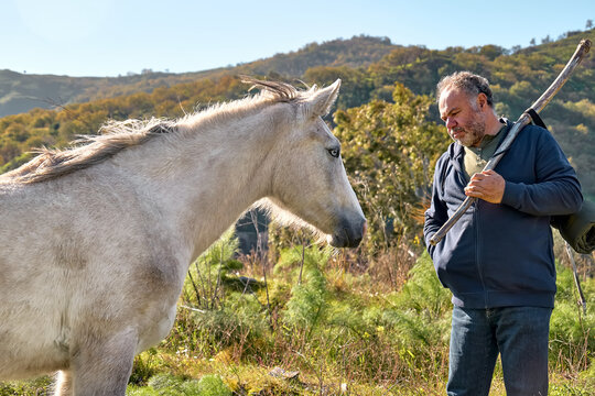 Mature bearded man meeting white horse while hiking in rural pasture. Friendship and relationship concept. Well Being and unity with nature. Road to mountain.