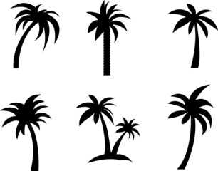  Palm icons set isolateed, black on a white background.eps