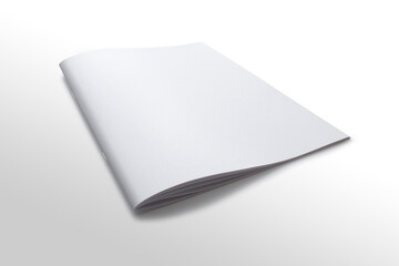3d rendering mock up Brochure business