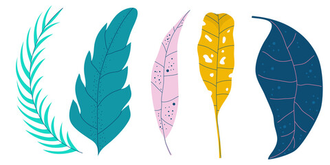 Tropical flat leaves in set. Trendy collection with green tropical flat leaves on white background for summer design. Jungle vector art. © Анжелика Полтавец