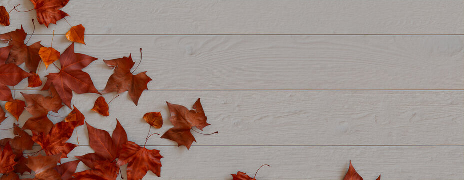 Autumn flat lay with leaves. Thanksgiving concept with space for text.