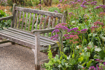 Bench and Flowers in The Garden