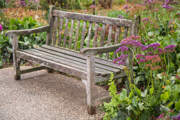 Bench In The Garden