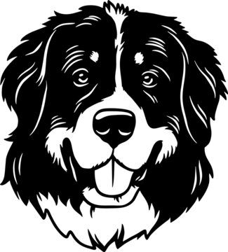Bernese Mountain Dog - Funny Dog, Vector File, Stencil for Tshirt