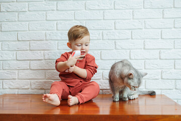 A little boy 2 years old measures the temperature of a cat with a non-contact thermometer