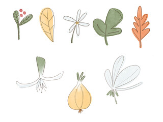 Watercolor illustration. Eight stylized plant elements