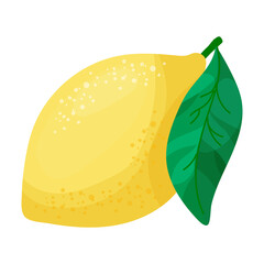Ripe lemon with a leaf. Citrus fruit. Vector illustration isolated on white background.