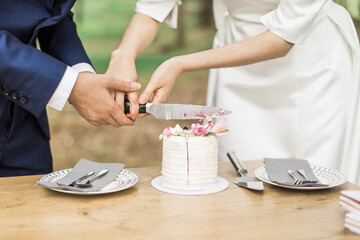 Bride and groom cutting small wedding cake, intimate elopement, close up