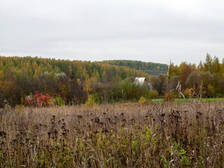 landscape on a cloudy autumn day