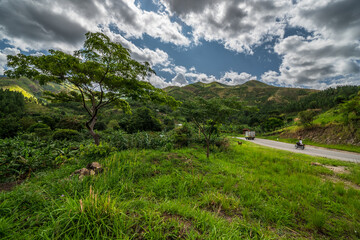Beautiful landscape in southwestern Uganda, at the Bwindi Impenetrable Forest National Park, at the...