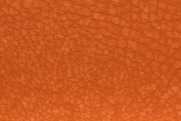 texture of genuine calfskin