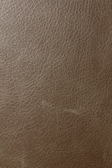 texture of genuine calfskin