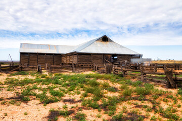 Mungo shed back from plian