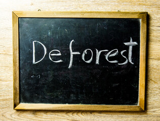 Fototapeta premium deforest word on black board, in studio Chiangmai Thailand.