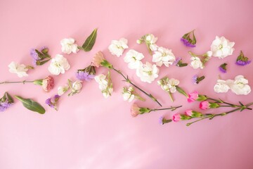 Fototapeta na wymiar Beautiful flowers composition on pink background. flower background for Mother's day, spring event, wedding, birthday and women's day. 
