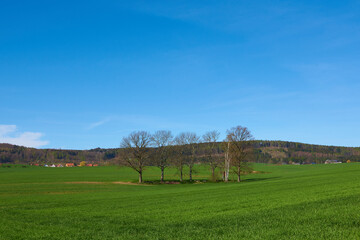 Gemeinde Sohland an der Spree im Frühjahr	