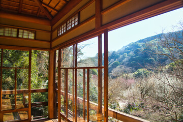 Fototapeta premium 木造建築