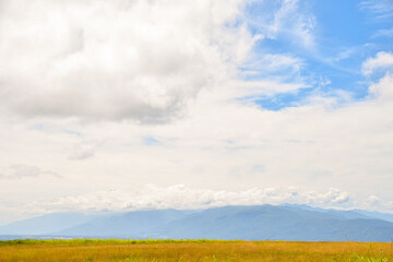 Obraz premium The scenery meadow under the blue-sky in Nagano in summer Japan.