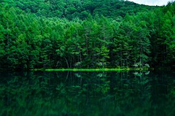 Mishaka pond shines an emerald green shadow on the mirror surface in summer Japan