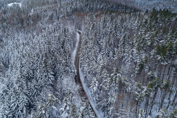 Droga w lesie, śnieg. Beskid Sądecki