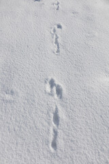 footprints in snow
