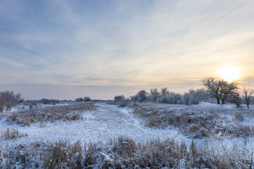 winter landscape with snow and trees