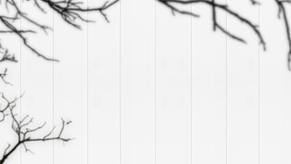 branches on a white wooden background