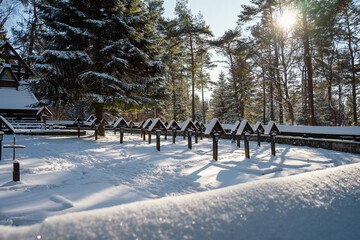 Zasypany śniegiem cmentarz wojenny nr 60 w miejscowości Magura. Beskid Niski - obrazy, fototapety, plakaty