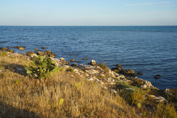 Fototapeta na wymiar Coast of Manfredonia, Apulia, italy