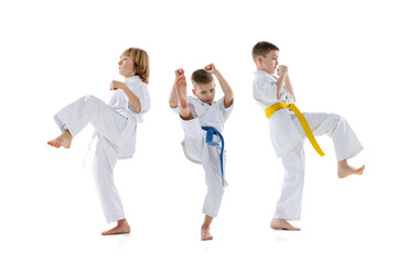 Obraz premium Group of kids, boys, taekwondo athletes wearing doboks training together isolated on white background. Concept of sport, martial arts