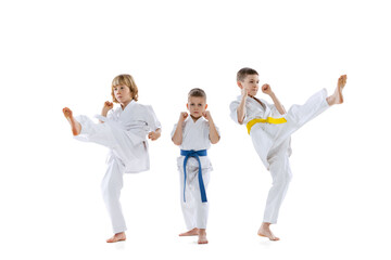 Group of kids, boys, taekwondo athletes wearing doboks training together isolated on white background. Concept of sport, martial arts