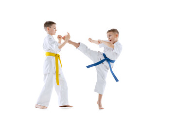 Dynamic portrait of two little boys, taekwondo or karate athletes wearing doboks training together isolated on white background. Concept of sport, martial arts © master1305
