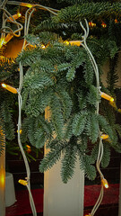 decorated Christmas tree in the garden