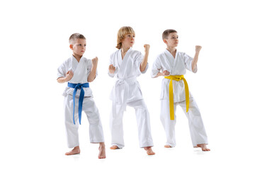 Group of kids, boys, taekwondo athletes wearing doboks training together isolated on white background. Concept of sport, martial arts
