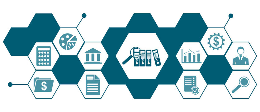 Concept of financial audit