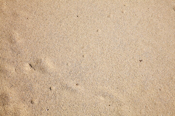 Fototapeta na wymiar Close up texture background of wet beach sand found on a sandy coastline in summer, stock photo image
