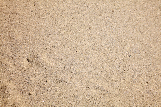 Close up texture background of wet beach sand found on a sandy coastline in summer, stock photo image