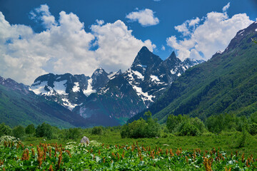 Beautiful view of alpine meadows in the Caucasus mountains. Slopes of Dombay-Ulgen mountain.
