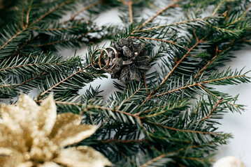 Amazing stylish wedding rings near a rustic wreath on a tree