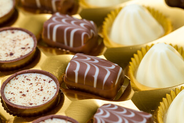 Gourmet Chocolate Candies