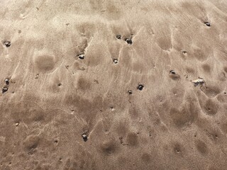 Fototapeta premium sand dunes in the desert