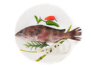 Rooster hind grouper or Pink Grouper decorated on a white plate.Selective focus.