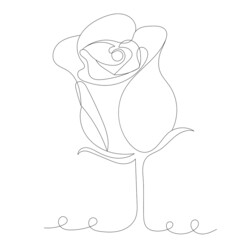 rose drawing in one line