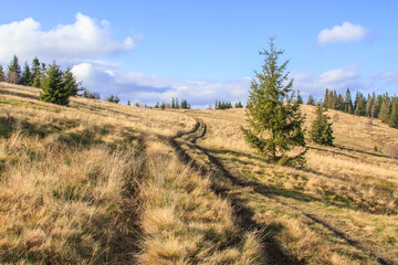 Autumn mountain landscape.  Beautiful panorama taken in  Beskidy mountains on the way to Jalowiec during on a beautiful sunny fall day. Beskidy Mountains, Silesia, Poland  